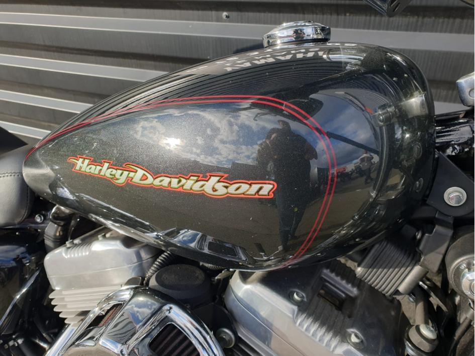 HARLEY-DAVIDSON SPORTSTER 883 carbus